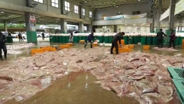 박시종 광산을 예비후보, 주민총회로 결정한 신창동 KBS 송신탑 부지 공영주차장 개방 환영 | 위키트리 박시종 광산을 예비후보, 주민총회로... 