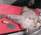 “홍어 맛보GO” 나주시, 5월 24~26일 영산포 홍어축제 팡파르 | 위키트리 “홍어 맛보GO” 나주시, 5월 24~26일 영산포 홍어축제 팡파르