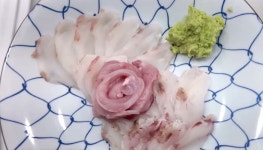25kg, 주둥이 뼈로 훌라후프 가능... 전문가도 “이런 크기 나도 처음 봐” | 위키트리 25kg, 주둥이 뼈로 훌라후프 가능... 전문가도 “이런... 