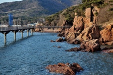 바다 앞에서 더 가까워지는 시간…데이트 명소로 손꼽히는 해안 데크길 8선 | 위키트리 바다 앞에서 더 가까워지는 시간…데이트 명소로... 