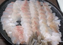 회 1점이 무려 1만원... 마침내 한국이 양식에 성공한 최고급 물고기 | 위키트리 회 1점이 무려 1만원... 마침내 한국이 양식에 성공한 최고급... 