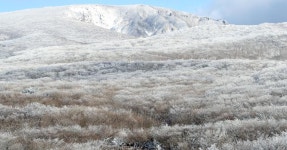 “한라, 내년부터는 포트폴리오 다변화 효과도 반영될 전망” | 위키트리 “한라, 내년부터는 포트폴리오 다변화 효과도 반영될 전망”
