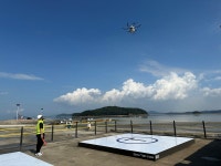 서산 달래, 전국에 봄 도래 알린다 | 위키트리 서산 달래, 전국에 봄 도래 알린다