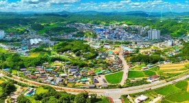 전남 보성군, 2022년 농촌진흥 시범사업 대상자 모집 | 위키트리 전남 보성군, 2022년 농촌진흥 시범사업 대상자 모집