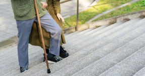 노화 방지를 위한 탁월한 선택…내 몸을 젊게 만들어 주는 10가지 식품 | 위키트리 노화 방지를 위한 탁월한 선택…내 몸을 젊게 만들어 주는... 