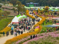 가을 산책은 조선왕릉에서…11월까지 왕릉 8곳 숲길 열린다 | 위키트리 가을 산책은 조선왕릉에서…11월까지 왕릉 8곳 숲길 열린다