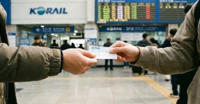 이게 뭐라고 계속 보게되는 레일 교체 영상 | 위키트리 이게 뭐라고 계속 보게되는 레일 교체 영상