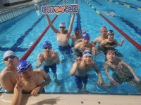 광주시 남구, 신촌‧월산마을 경로당 등 6곳에 텃밭 상자 22박스 보급 | 위키트리  광주시 남구, 신촌‧월산마을 경로당 등 6곳에 텃밭 상자... 