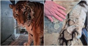 두산 박용만 회장, 신입사원 희망퇴직 철회 지시 | 위키트리 두산 박용만 회장, 신입사원 희망퇴직 철회 지시