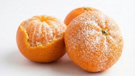 이웃집 개농장 시끄럽다는 60대가 벌인 만행, 너무 경악스럽다 | 위키트리 이웃집 개농장 시끄럽다는 60대가 벌인 만행, 너무 경악스럽다