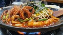 생방송 투데이 산낙지 철판볶음, 오늘의 맛집 | 위키트리 생방송 투데이 산낙지 철판볶음, 오늘의 맛집
