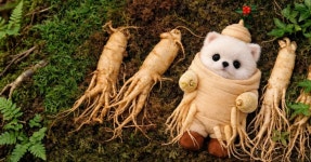 작년 한 해 동안 가장 많이 발견된 위조지폐 1위 | 위키트리 작년 한 해 동안 가장 많이 발견된 위조지폐 1위