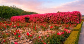 파주시, 한배미 체험마을 로컬푸드 직매장 적성면에 개소 | 위키트리 파주시, 한배미 체험마을 로컬푸드 직매장 적성면에 개소