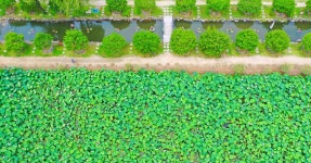 파주시, 9709번 노선 폐지..대책안 강구 | 위키트리 파주시, 9709번 노선 폐지..대책안 강구