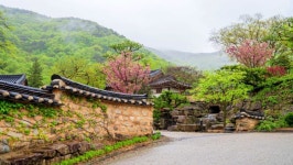 “목욕탕과 북카페, 체력단련실까지”...완주 운주면 행정복지센터 착공 | 위키트리 “목욕탕과 북카페, 체력단련실까지”...완주 운주면... 