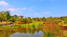 Foto hasil carian Naver 4