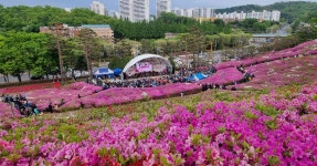 가족과 걷기 좋네…차 소음 대신 꽃향기만 가득한 9일간의 군포의... 걷기 좋네…차 소음 대신 꽃향기만 가득한 9일간의 군포의 힐링 공간