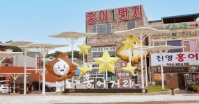 홍어의 짜릿함, 한우의 품격…나주 영산포서 5월 미식 축제 불붙는다 | 위키트리 홍어의 짜릿함, 한우의 품격…나주 영산포서 5월 미식 축제... 
