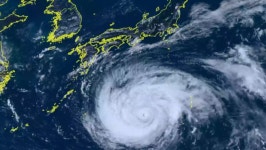 14호 태풍 풀라산 예상 경로, 꽤 충격적이다 | 위키트리 갑자기 저렇게 꺾인다고…? 14호 태풍 풀라산 예상 경로, 꽤 충격적이다
