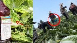 아픈 사람 상대로 거짓말…식약처, 식품 부당 광고 212건 적발 | 위키트리 아픈 사람 상대로 거짓말…식약처, 식품 부당 광고 212건 적발