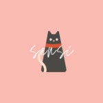 감성영상 촬영 동아리 센시:Sensi - 캠퍼스픽