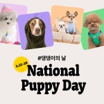 [그로스] 댕댕이의 날 🐾직잭 펫 댕댕이의 날🐾