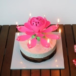 러키펀치 생일파티 멜로디 연꽃초 폭탄초 회전초 5color [꽃초 케이크초 연꽃 촛불 이벤트 용품]