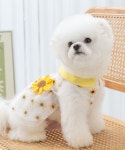 견우와묘녀 강아지 고양이 나시원피스 애견의류 해바라기 반려옷 쿨 썸머