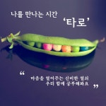 소규모 타로 강좌 - 온오프믹스 :: 모임문화 플랫폼 소규모 타로 강좌