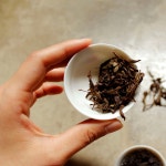 ◆Tea Class : 쉽고 재밌게 알아가는 차 / 10월 티쿱 티클래스 - 온오프믹스 :: 모임문화 플랫폼 ◆Tea Class : 쉽고 재밌게 알아가는 차... 