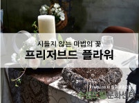 [대구/경북] 프리저브드 플라워 - 온오프믹스 :: 모임문화 플랫폼 [대구/경북] 프리저브드 플라워