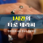온오프믹스 :: 모임문화 플랫폼 1시간의 타로 테라피로 나와 미래 통찰(2/11)