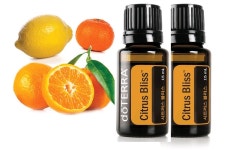 아로마테라피 무료 DIY (7/28 화요일/오후7시/부산,거제동) - 온오프믹스 :: 모임문화 플랫폼 아로마테라피 무료 DIY (7/28 화요일/오후7시... 