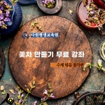 심온진로비전센터/다원평생교육원/꽃차만들기/취미/모임/무료/강의... 플랫폼 심온진로비전센터/다원평생교육원/꽃차만들기/취미/모임/무료/강의