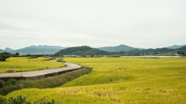 순천 여행기