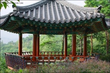 시그마 SD15 리뷰 : 포베온센서와 시그마 DSLR - 에누리 쇼핑지식 리뷰