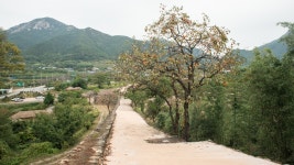 순천 여행기. | 국내여행 이야기 게시판 | 루리웹 순천 여행기. | 국내여행 이야기 게시판
