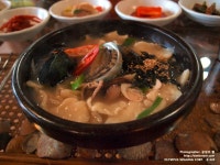 정동진 맛집 부탁드려요 :: 정동진,정동진맛집 :: 맛집 정보 검색 NO.1 사이트, 메뉴판닷컴 :: 맛집 정보가 가득