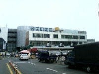 대구역에서 내렸을 시 대구 당일치기 여행코스 - 도시 갤러리
