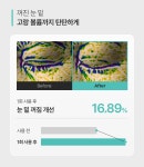 주식회사샤르드 [다크서클+아이백 케어🎯]아이백 리프트 1100샷 아이패치