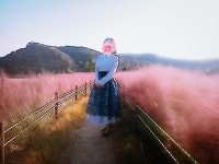 아파트앞 금강둔치랍니다. 이쁘다는 소리 들으니 기분 좋더라구요... 시크라인 아파트앞   금강둔치랍니다. 이쁘다는  소리 들으니 기분... 