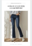 시크폭스