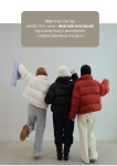 시크폭스 - 베어빈 덕다운 하이넥 패딩 점퍼