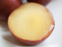 자두나무 신품종 퍼플퀸 자두 묘목 3년생 결실주 : 묘목,조경,인테리어 - 심폴