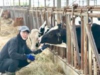 전체기사 - 충청남도 누리집(홈페이지) 충청남도 누리집(홈페이지)