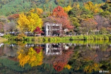 전체기사 - 충청남도 누리집(홈페이지) 충청남도 누리집(홈페이지)