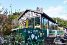 전체기사 - 충청남도 누리집(홈페이지) 충청남도 누리집(홈페이지)