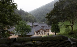 충청남도 누리집(홈페이지)