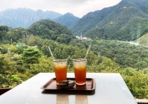 충청남도 누리집(홈페이지)