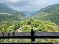 충청남도 누리집(홈페이지)